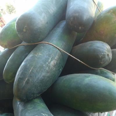 黃浦區(qū)特色貨運代理價錢黃浦區(qū)特色貨運代理價錢表