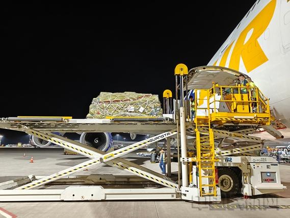 湖北省網(wǎng)絡(luò)貨運(yùn)服務(wù)能力湖北網(wǎng)絡(luò)貨運(yùn)企業(yè)