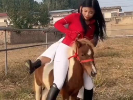 貨運(yùn)馬姑娘