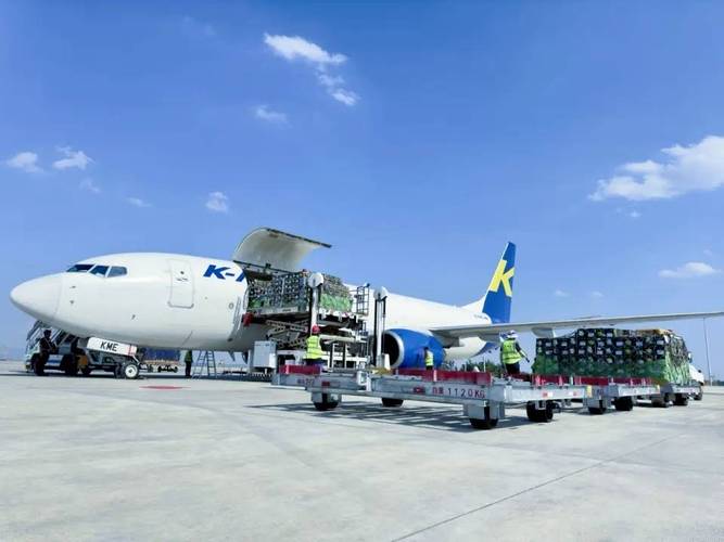 國(guó)家貨運(yùn)航空國(guó)家貨運(yùn)航空公司